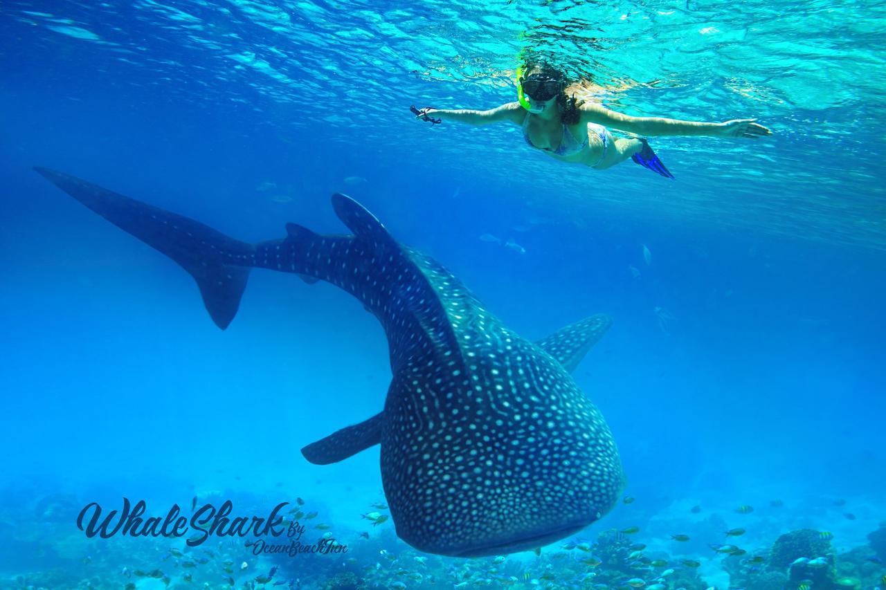 Ocean Beach Maldive Hotel Maldives Esterno foto